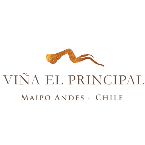 Vina El Principal